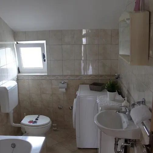 Saric Biograd Na Moru